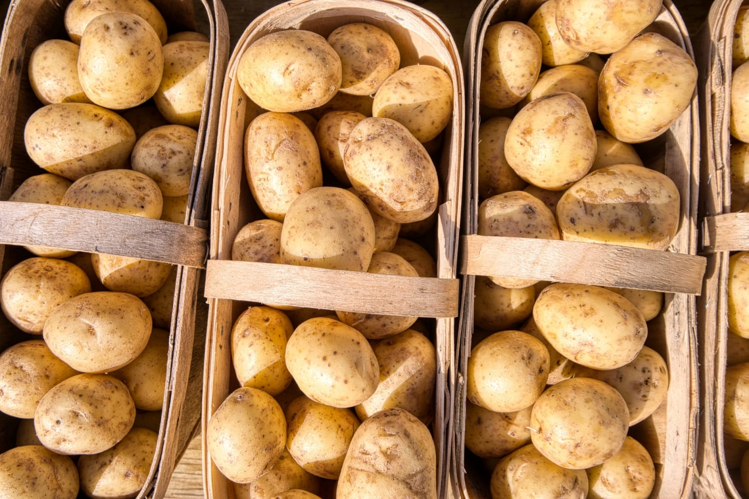 На Бюро Президії НААН розглянули результати експерименту з впровадження стартапу Національного проєкту "Українська картопля"